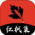 丝瓜视频app图片